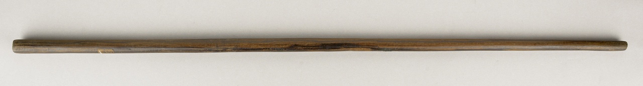 Wandelstok