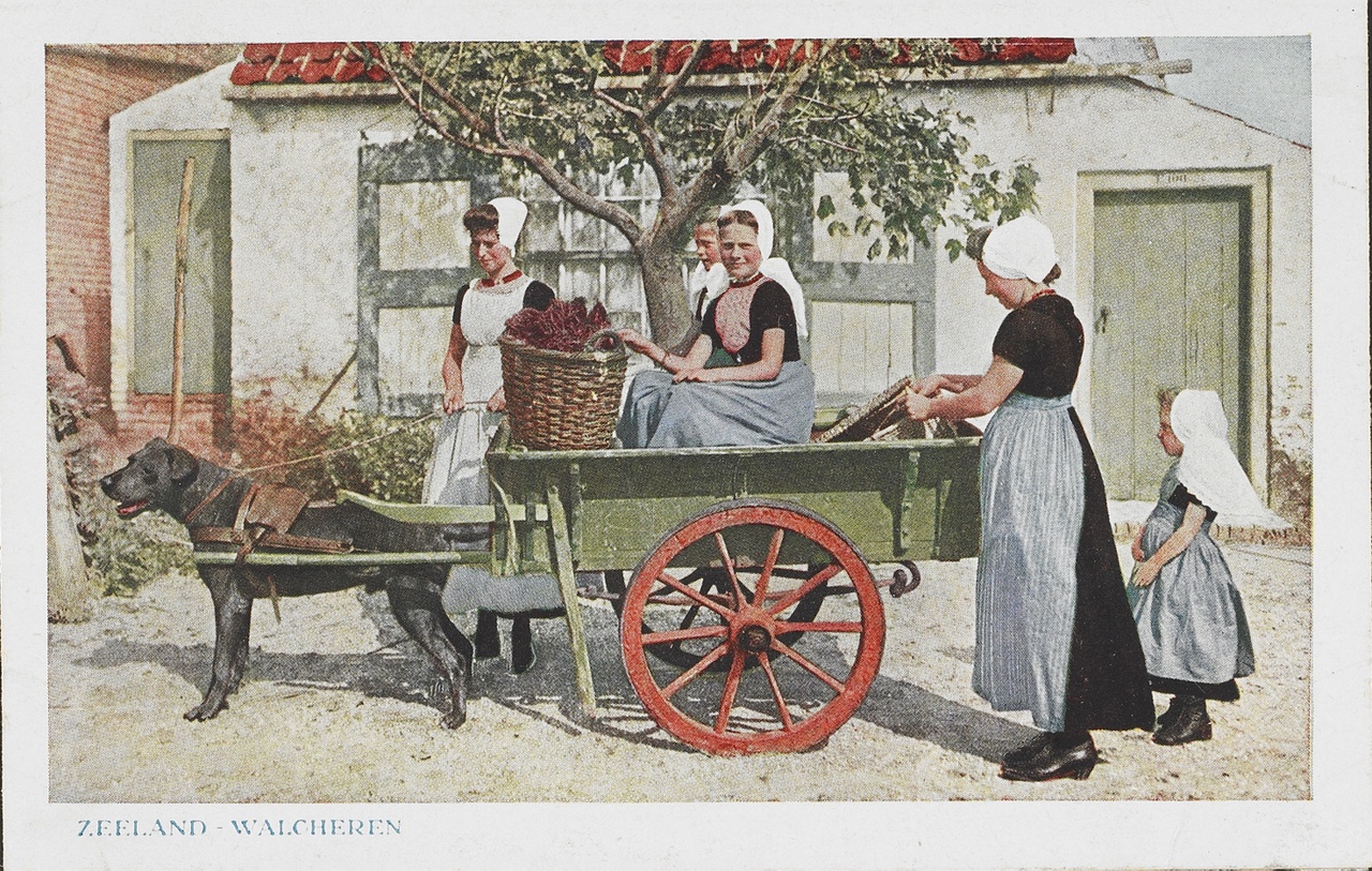 Ansichtkaart in kleur, met vrouwen en meisjes in Walcherse streekdracht