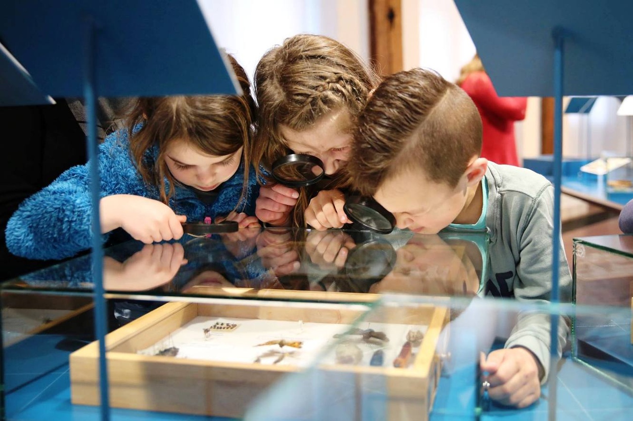 15_Uyt eygen ervarentheyd ZM in de School ABS Middelburg foto Zeeuws Museum-B.jpg